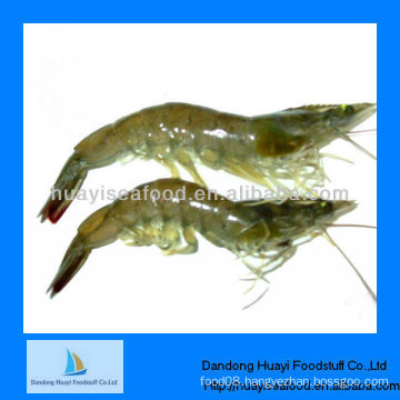 Frozen wholesale shrimp